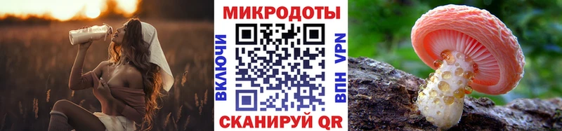 цена   Лермонтов  Псилоцибиновые грибы GOLDEN TEACHER 